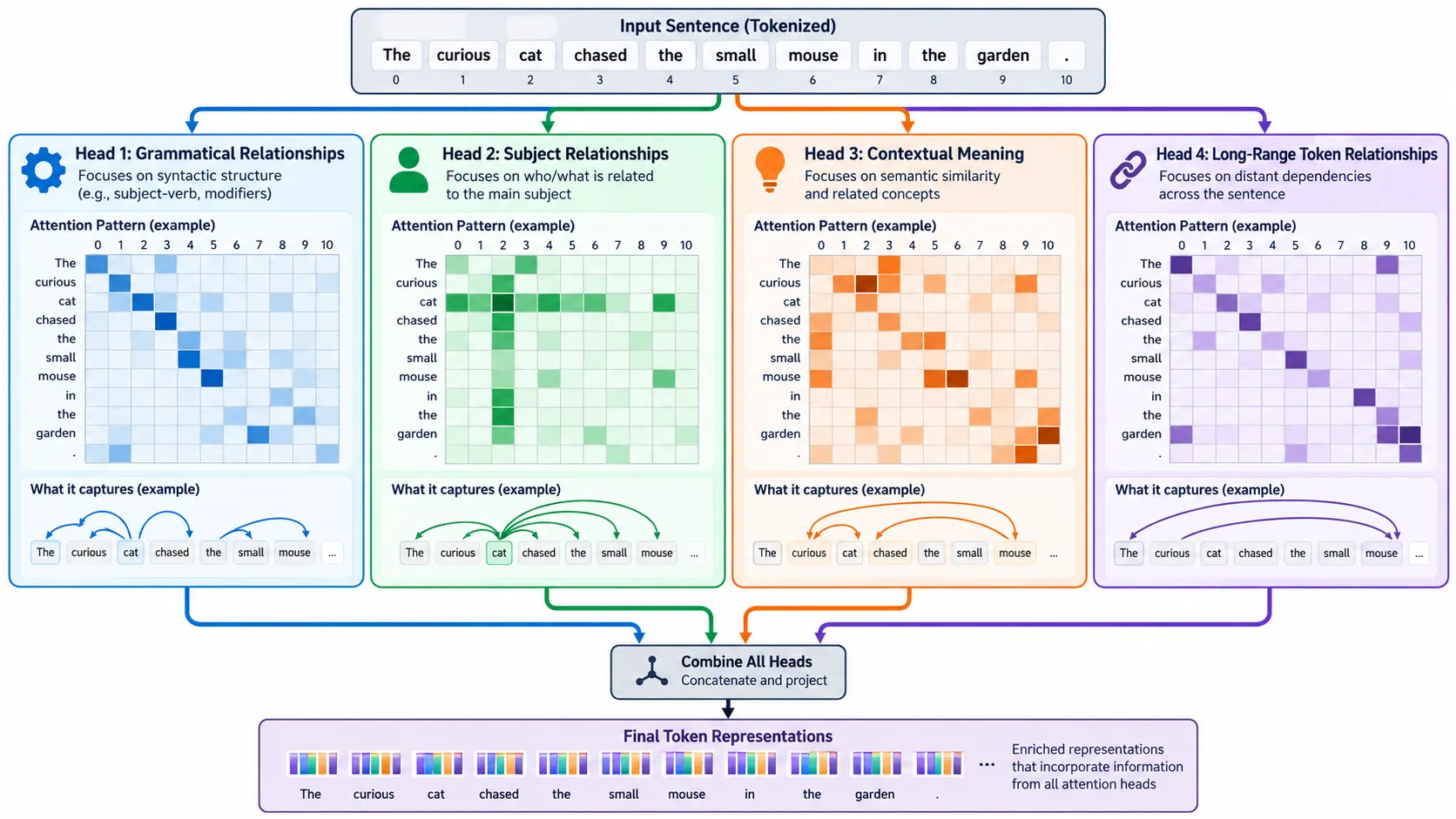 Multi-head attention examining different relationships between tokens