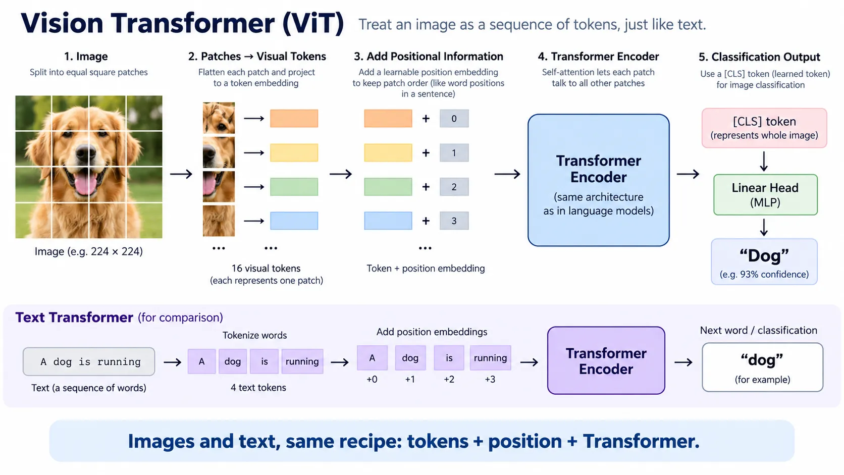 Vision Transformer dividing an image into patches and processing them as tokens