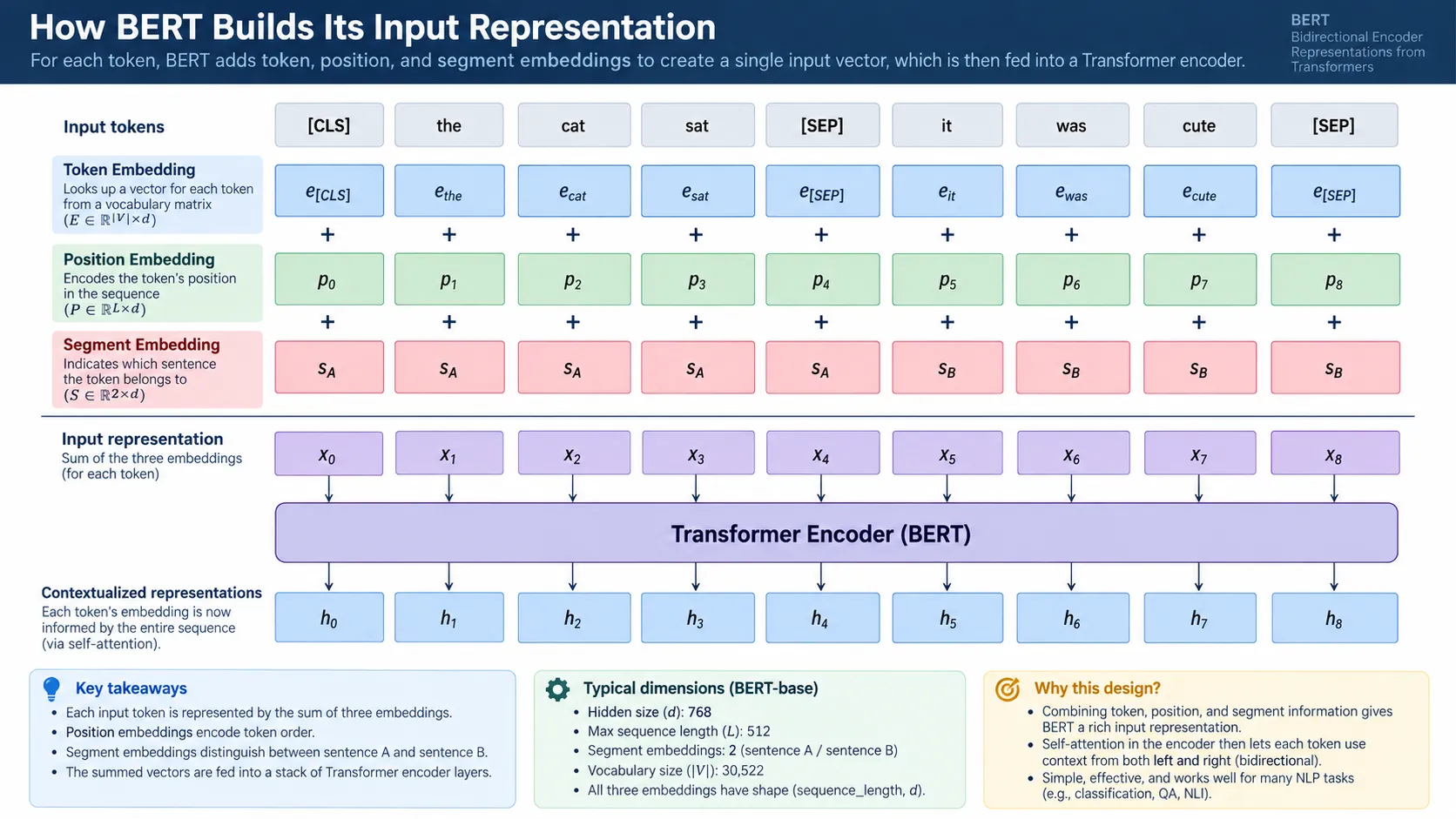 BERT token position and segment embeddings explained