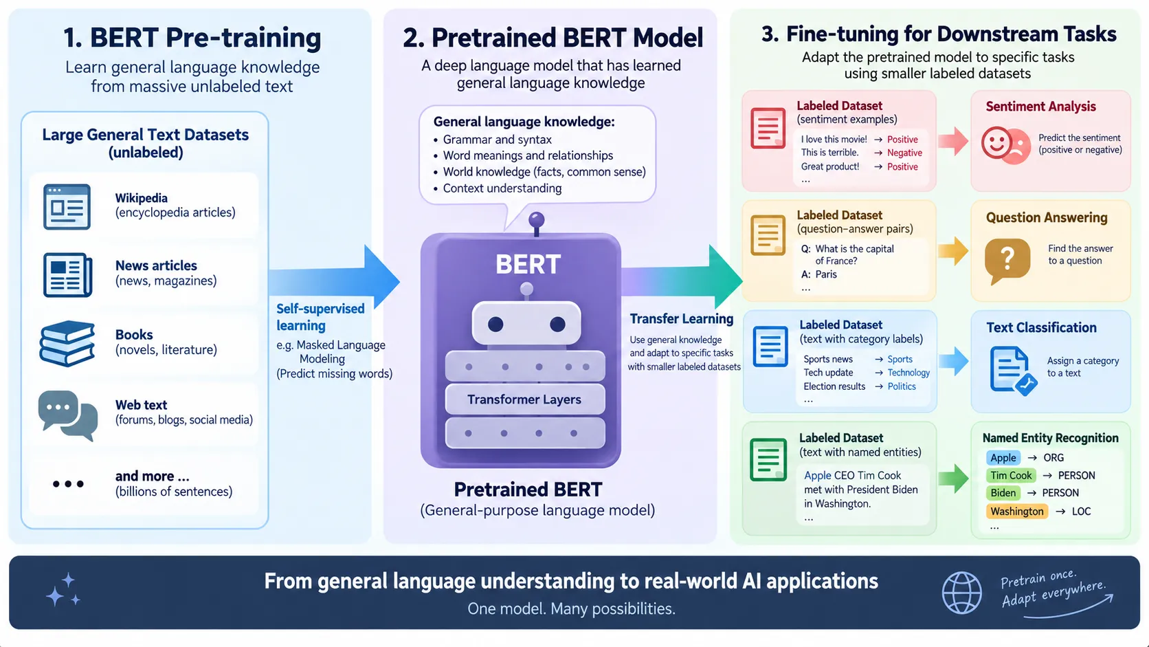 Difference between BERT pre-training and fine-tuning