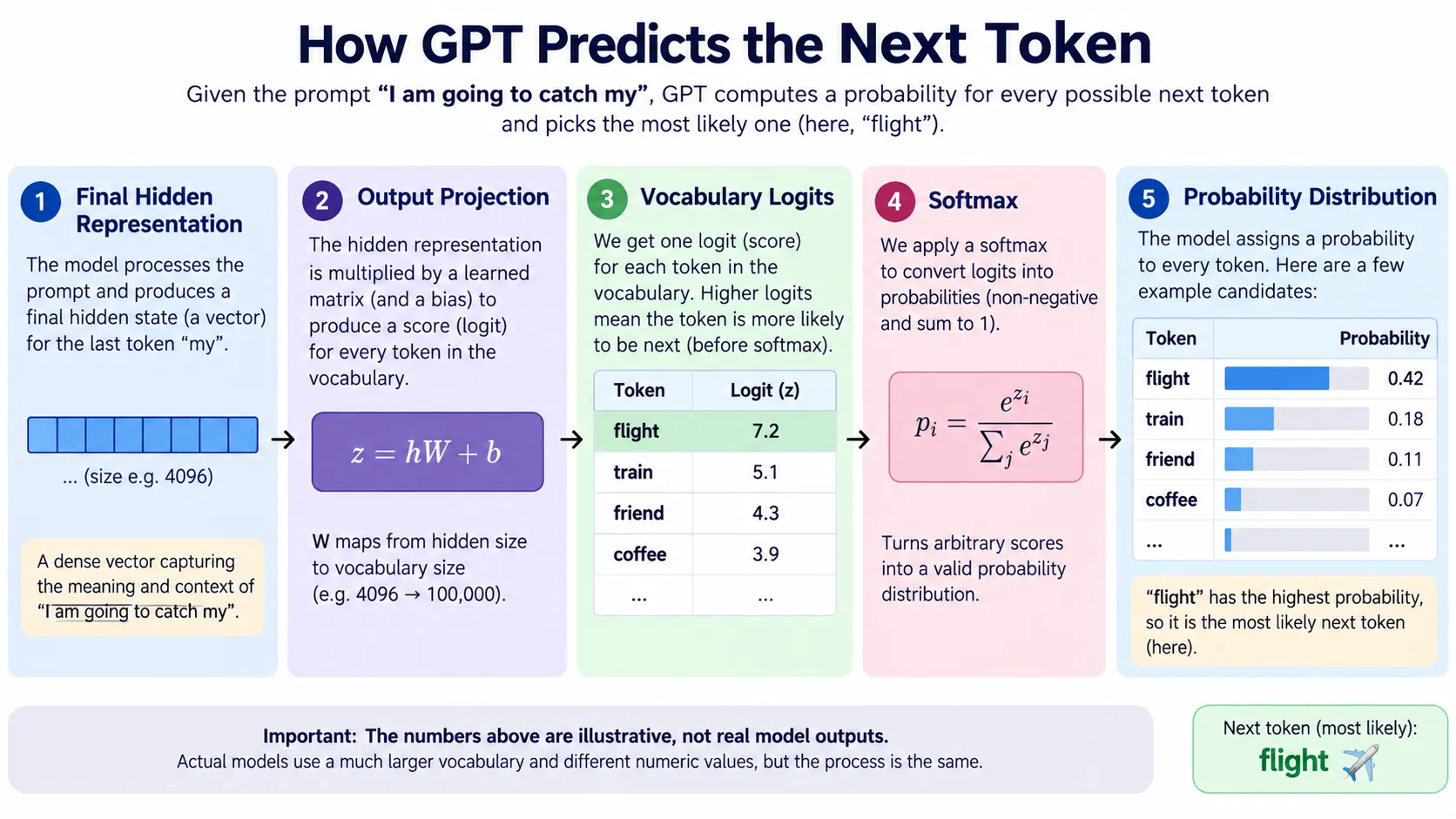 How GPT converts logits into next-token probabilities