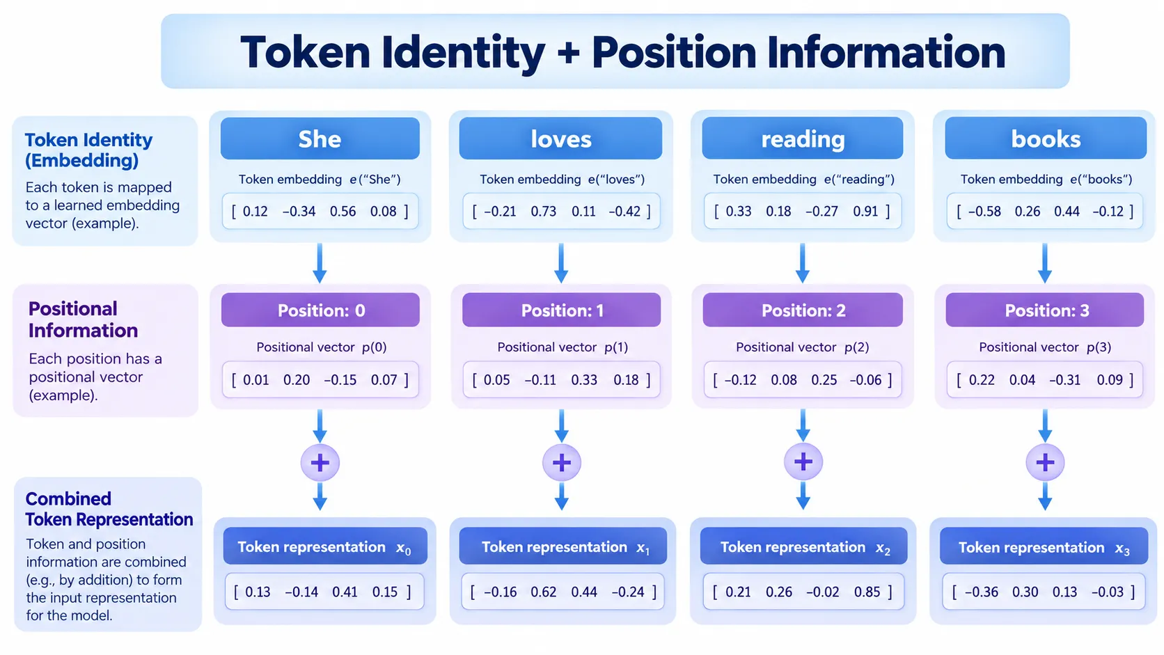 Diagram explaining how token embeddings and positional information help Transformers understand word order