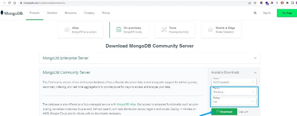 Download-Mongodb