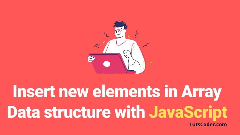 Insert new elements in Array Data structure with JavaScript