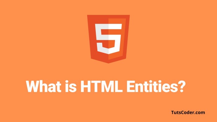 what is HTML Entities?