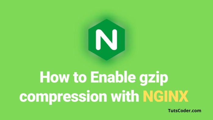 Effortlessly Speed Up Your Website with NGINX and Gzip Compression