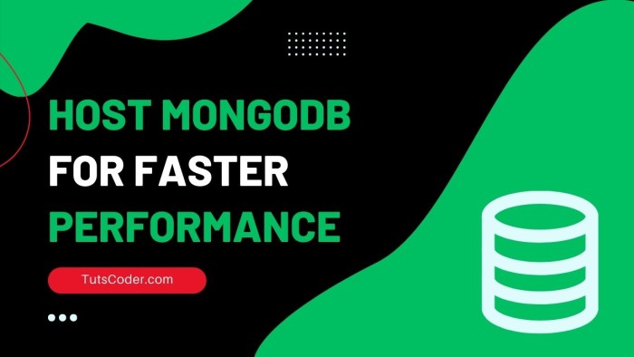 Where to Host MongoDB for Faster Performance: A Comprehensive Guide