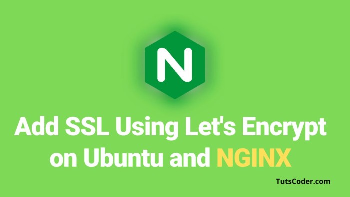 How to Add SSL to Your Website Using Let's Encrypt on Ubuntu and Nginx