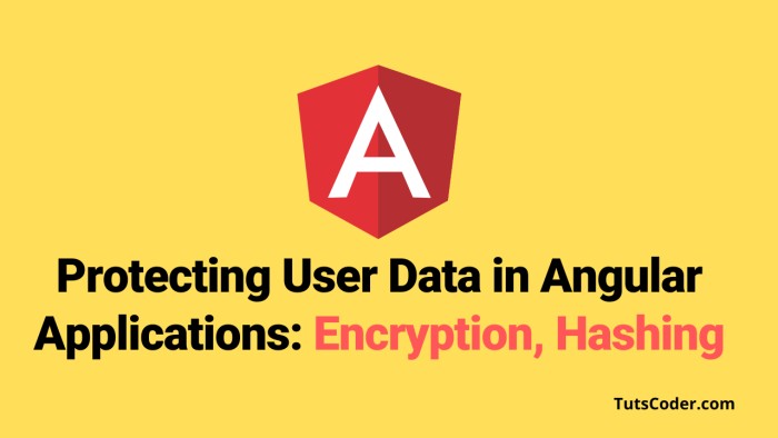 Protecting User Data in Angular Applications: Encryption, Hashing, and More