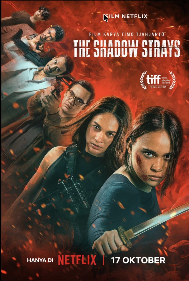 The Shadow Stray