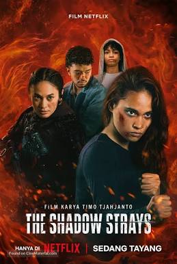 The Shadow Strays