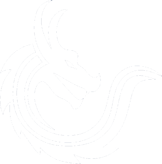 Azure Dragon Airlines