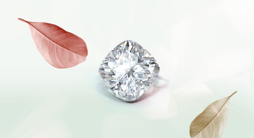 Cushion Cut Diamonds Guide