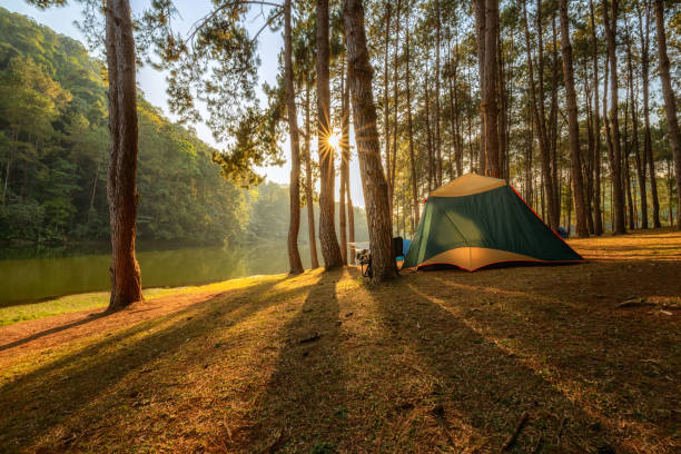 Campground image