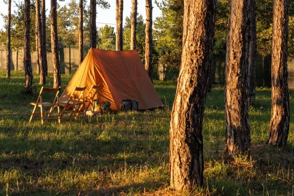 Campground image