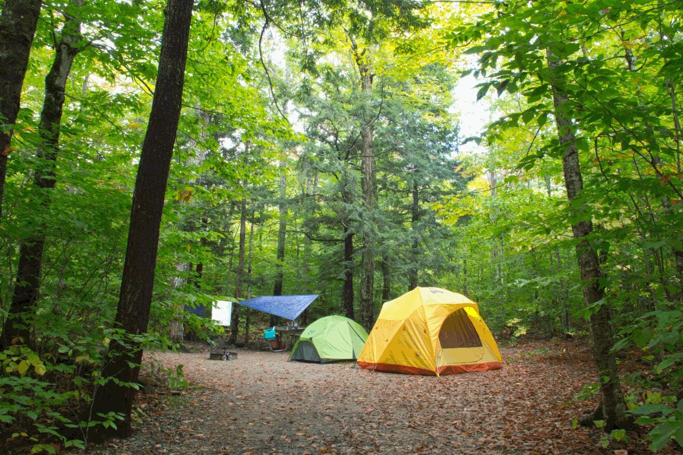 Campground image
