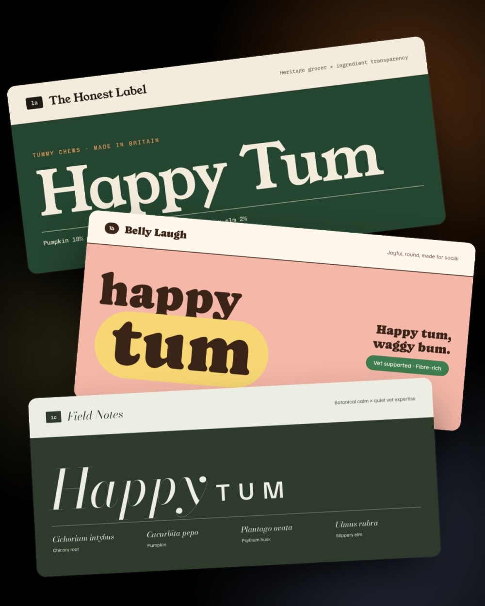 Happy Tum: One Brand, Three Directions