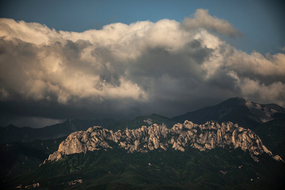 강원 원주문막1 국민임대주택 예비입주자 모집: 실거주 입지 분석 및 임대 청약 가이드 카드뉴스 1