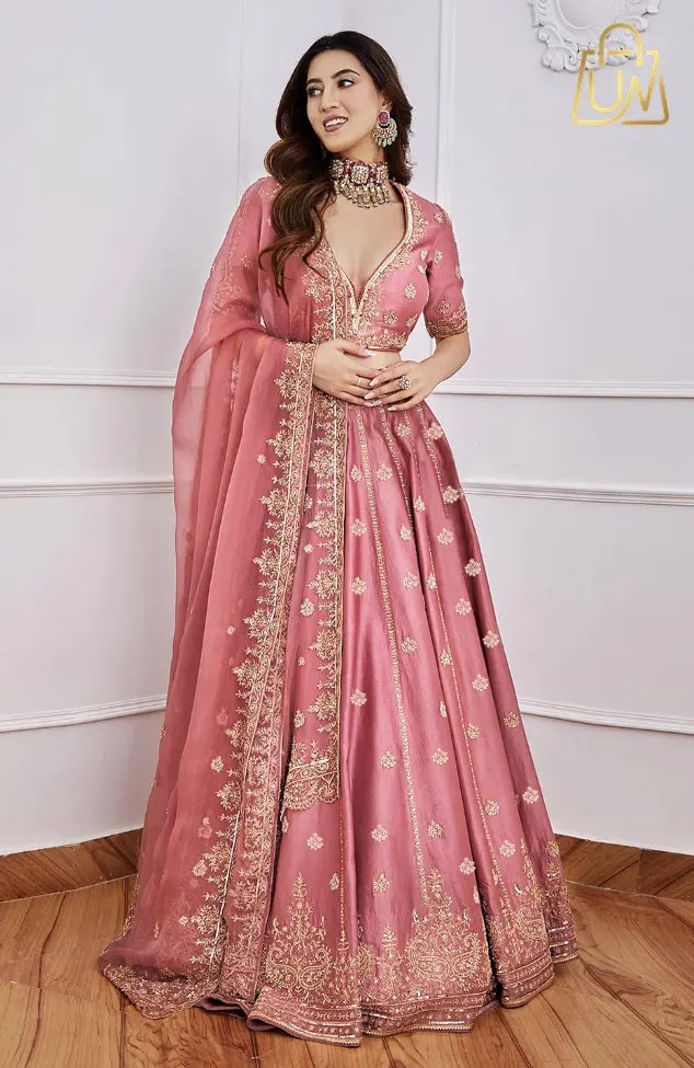 Trendmalls Embroidered Lehenga Choli: प्रीमियम लुक और शानदार एम्ब्रॉयडरी के साथ इस वेडिंग सीजन की पहली पसंद