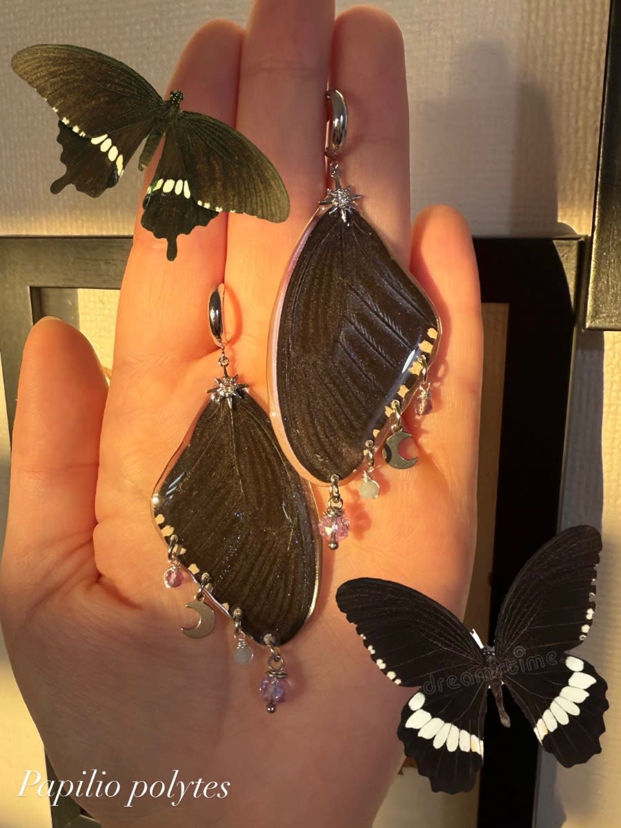 Aros Papilio polytes