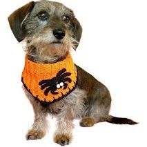Bandana Tejida para Mascota 🧣 2