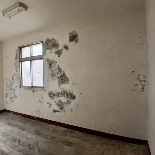 大肚防水工程
