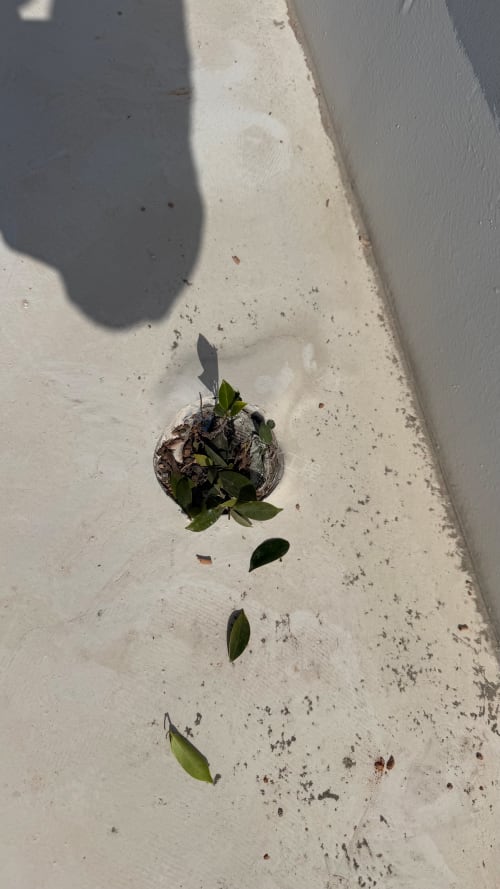 大肚區防水保養工程