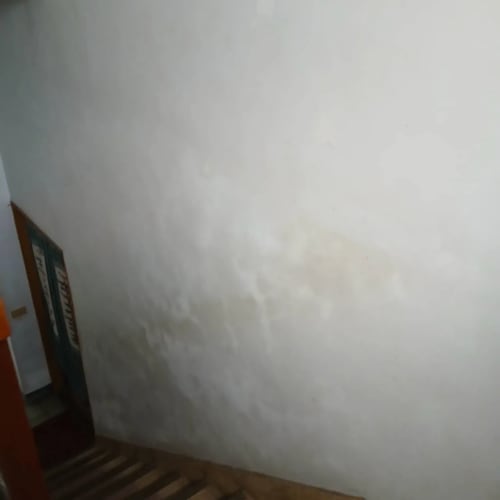 室內壁癌處理油漆工程