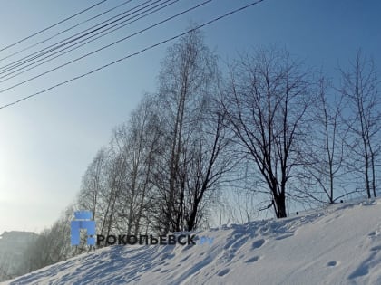 В субботу немного похолодает, ветер усилится