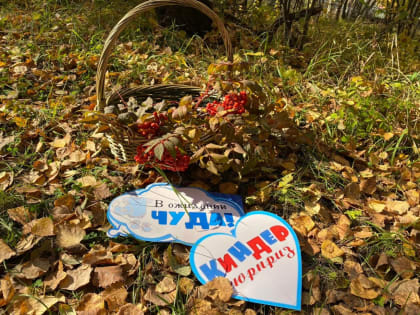 День беременных