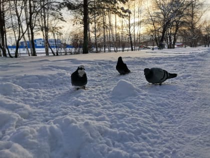 Прогноз погоды на завтра