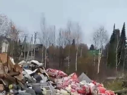 Строители новых гостиниц в Шерегеше превращают курорт в помойку (ВИДЕО)