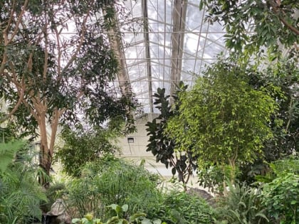 Хороший обзор: Ботанический сад КемГУ