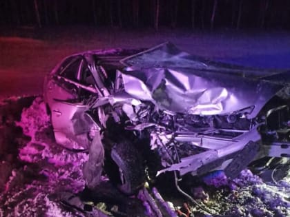 Новосибирца, по вине которого в Кузбассе погибла томичка с сыном, приговорили к реальному сроку (ФОТО)