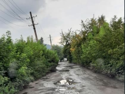 Новокузнечанка просит отремонтировать дорогу в парк «Водный»