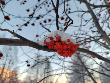 Синоптики предупреждают!