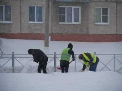 Студенческий десант