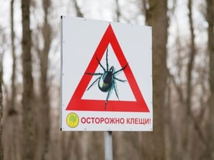 Как избежать укуса клещей