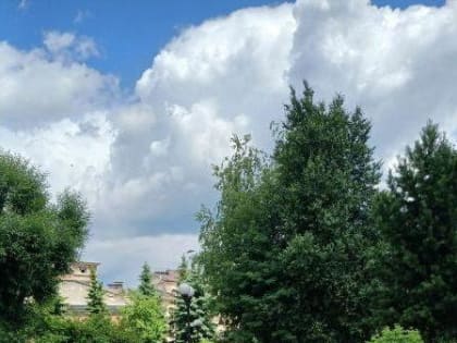 Парк Гагарина в Новокузнецке зарастает травой (ФОТО)