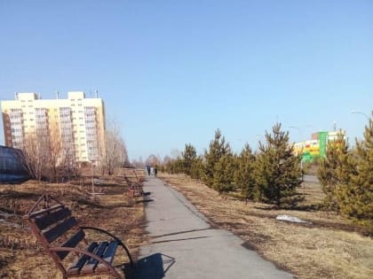 На Ильинке варвары уничтожают Аллею Спасателей (ФОТО)