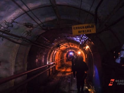 Ученый рассказал о роли Сибири в освоении редкоземельных металлов