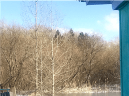 ПАМЯТКА В ПЕРИОД ВЕСЕННЕГО ТАЯНИЯ СНЕГА И ПОДЪЕМА УРОВНЯ ГРУНТОВЫХ ВОД В ЧАСТНОМ СЕКТОРЕ!