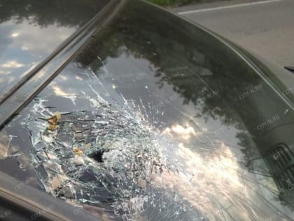 Новокузнечанин высудил у администрации более 200 тысяч рублей за ветку, упавшую с дерева на его машину