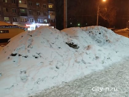 В Кузнецке «Марию-Ра» и «Пятёрочку» уже не видно из-за куч (ФОТО)