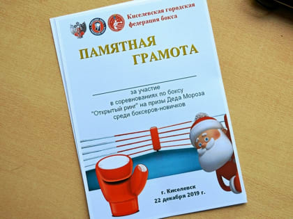 Новогодний ринг