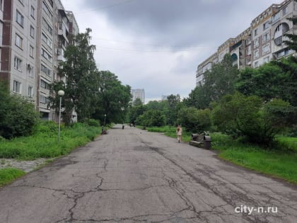 Новокузнечане переживают, что не смогут выгуливать питомцев в обновлённом сквере за «Континентом» (ФОТО, ВИДЕО)