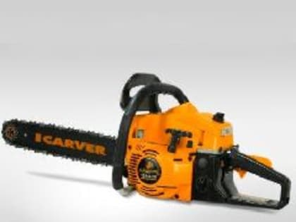 У кузбассовца, который незаконно спилил пять берёз на дрова для пожилой матери, конфисковали бензопилу в пользу государства