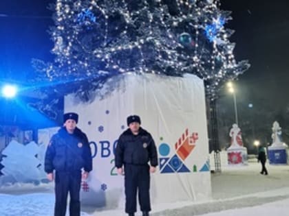 Новый Год под охраной