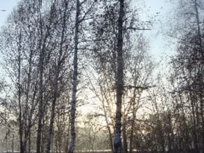 В понедельник днём в Кузбассе будет тепло, возможен небольшой снег