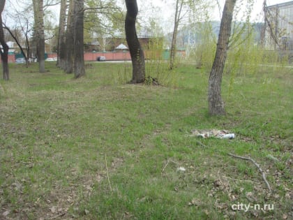 В Новокузнецке возле церкви уже больше года разлагается труп собаки (ФОТО)